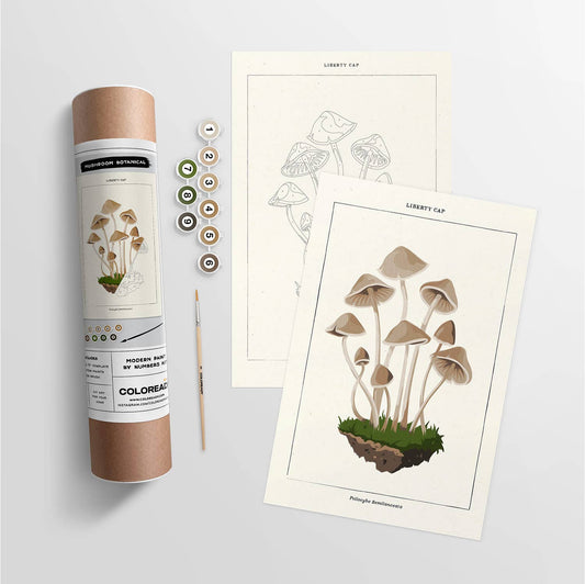 Mushroom Botanical | Modern Paint By Numbers Kit - homesewn